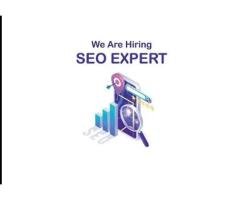 Ecommerce & WordPress SEO Expert (Male & Female)