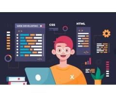 Website Developer Job