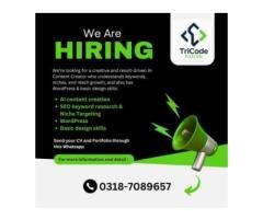 AI Content Creator Job – Jinnah Colony, Faisalabad