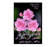 Assistant Manager / Lady Receptionist Jobs