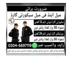 Male & Female Security Guards Needed