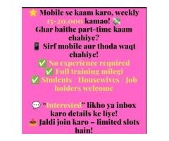 Work From Home Opportunity