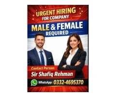 Entry-Level Management & Digital Marketing Role