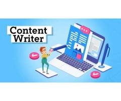 Senior Content Writer Required