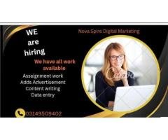 Assignment, Content, Data Entry & Advertisement Jobs