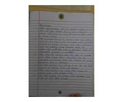 Content Writing, Drawing & Assignment Services