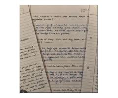 Professional Content & Assignment Writing