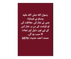 Entry-Level Job Seeker – Akhtar Shah Colony