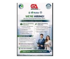 Sales & Marketing / Digital Marketing Executive