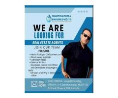 Real Estate Agent Job