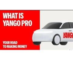 Female Social Media Manager Needed