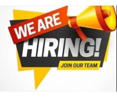 Female Office Staff Needed
