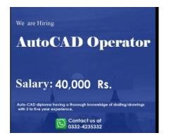 Draftsman / AutoCAD Expert
