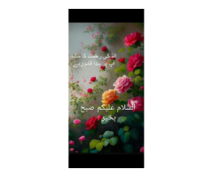 Home Tutor Available