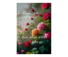 Home Tutor Available in Gulshan-e-Iqbal