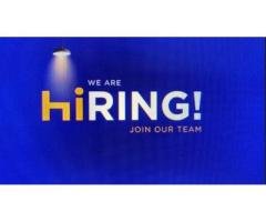 Occupational Therapist Job