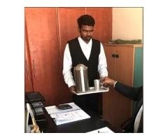 Office Boy / Support Staff Required