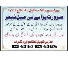 Professors School & College