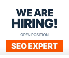 SEO Expert Needed – WordPress Specialist