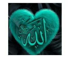 Graphic Designer Seeking Opportunities