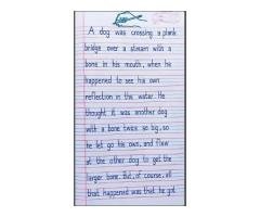 Professional Writing Services Available