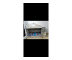 Luxury Bunk Bed / Double Bed