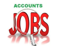 Remote Accountant (Work From Home) – Lahore
