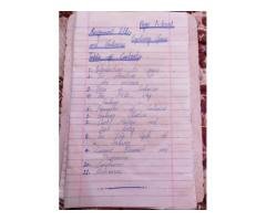 Professional Assignment Writing Services