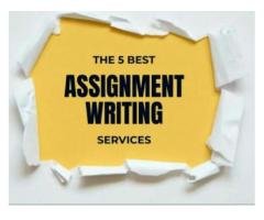 Professional Assignment Writer Available