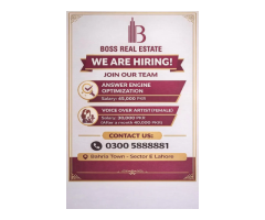 Hiring AEO Executive & Female Voice Over Artist