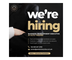 Sales & Marketing Executive