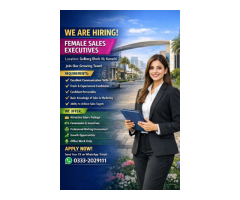 Sales & Marketing Executive