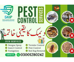 Professional Pest Control & Dengue Spray