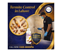 Professional Termite & Pest Control Services