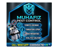 : Termite & Pest Control Services – Lahore