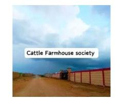 Affordable Cattle & Dairy Farm Land for Sale