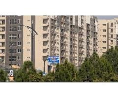 Ground Floor Shop for Sale