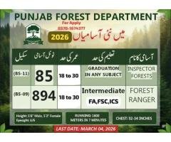 Government Jobs in Forestry & Wildlife Department