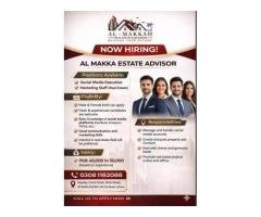 Social Media Executive & Real Estate Marketing Jobs