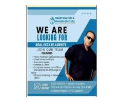 Real Estate Coordinator & Property Agent Job