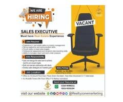 Real Estate Sales Executive Job