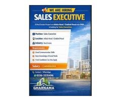 Sales Executive (Female) Job in Snober City