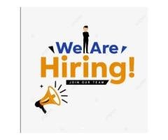 Electronics/Electrical Engineer Job
