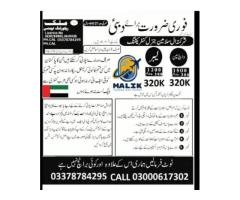 Job Opportunity for Eligible and Hardworking Candidate