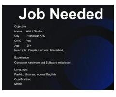 Entry-Level Job Seeker