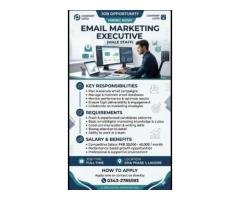 Email Marketing Executive Jobs