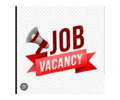 Female Medical Staff / Nurse / Assistant Required