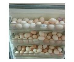 12 Pure Desi Eggs Lahore Rs 450 | Farm-Fresh Organic