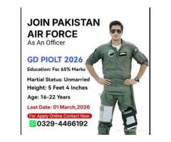 Baby Teetar Male Rs1700 | Bannu Rare Hatchling Deal