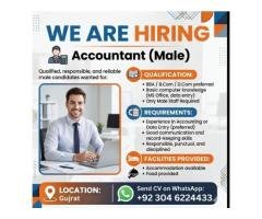 Accountant / Data Entry / Software Operator Jobs